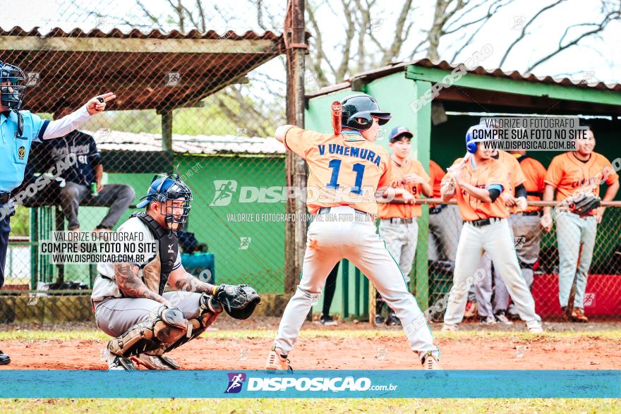 XXXII Brasileirão de Softbol