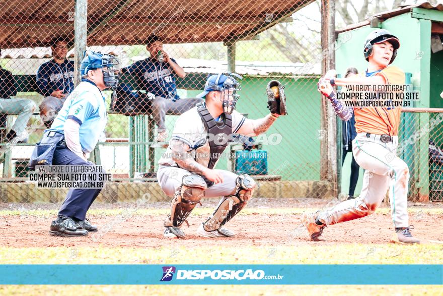 XXXII Brasileirão de Softbol