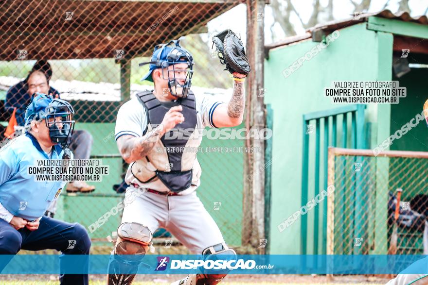 XXXII Brasileirão de Softbol