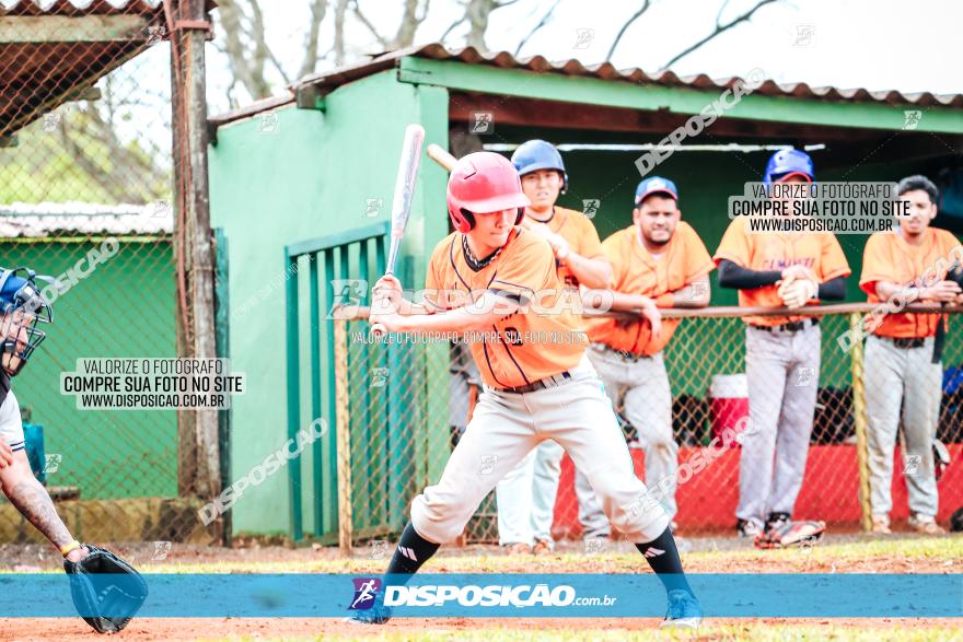 XXXII Brasileirão de Softbol