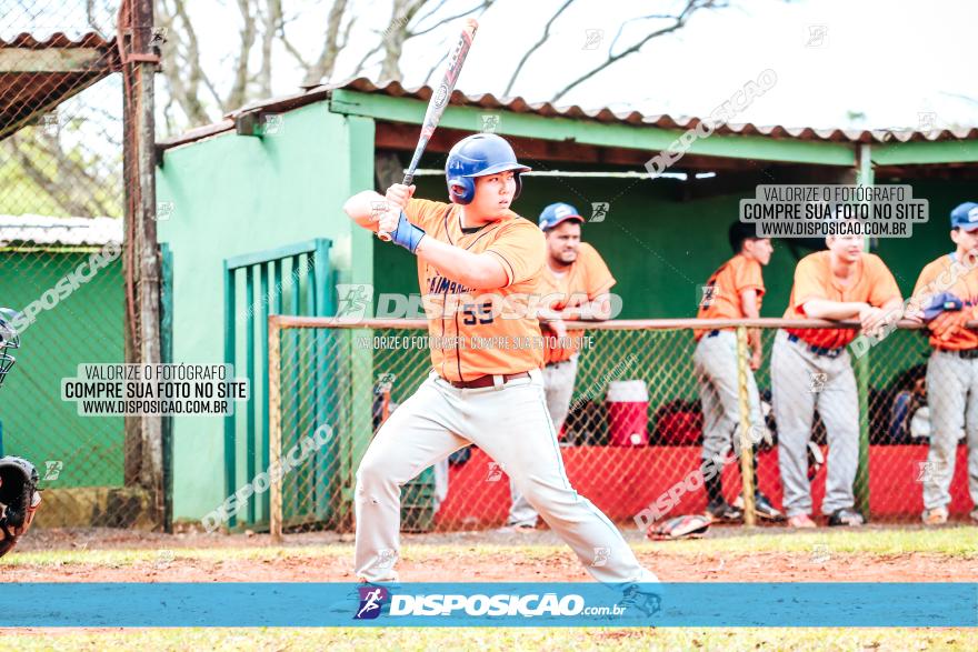 XXXII Brasileirão de Softbol