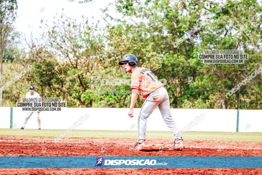 XXXII Brasileirão de Softbol