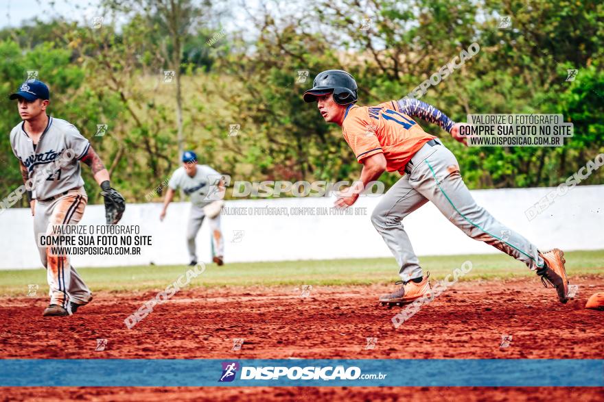 XXXII Brasileirão de Softbol