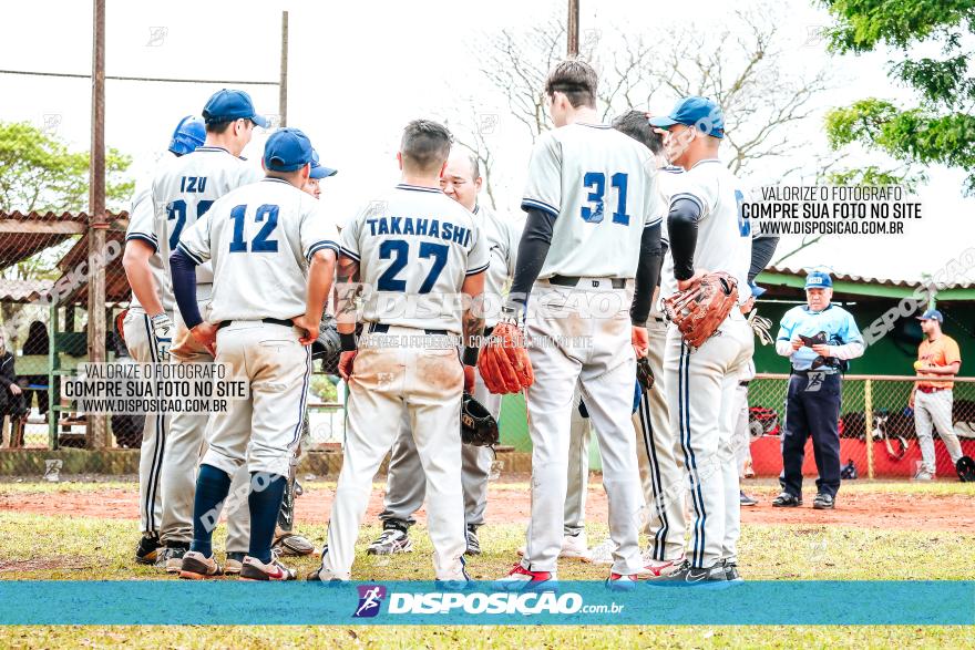 XXXII Brasileirão de Softbol