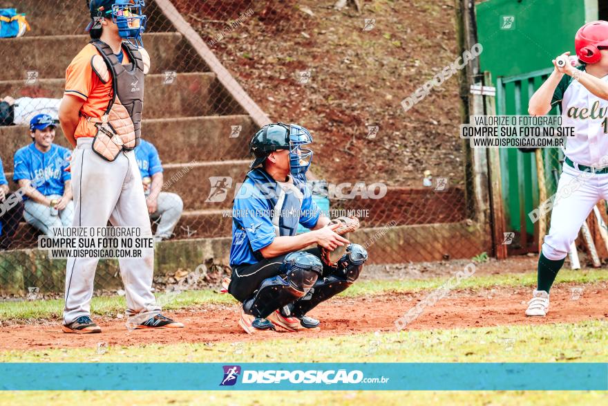 XXXII Brasileirão de Softbol