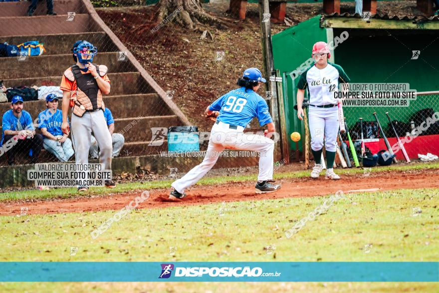 XXXII Brasileirão de Softbol