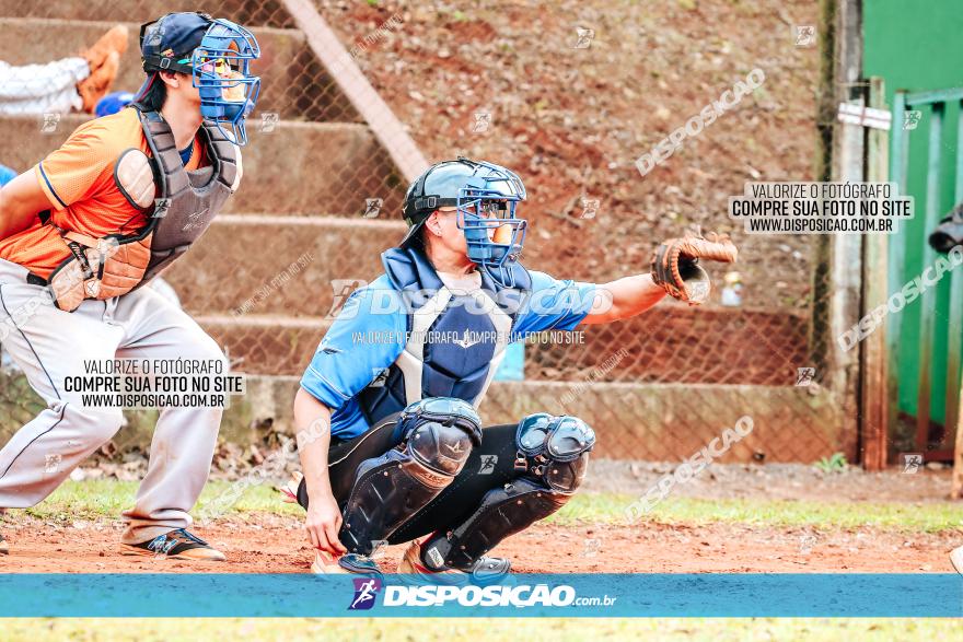 XXXII Brasileirão de Softbol