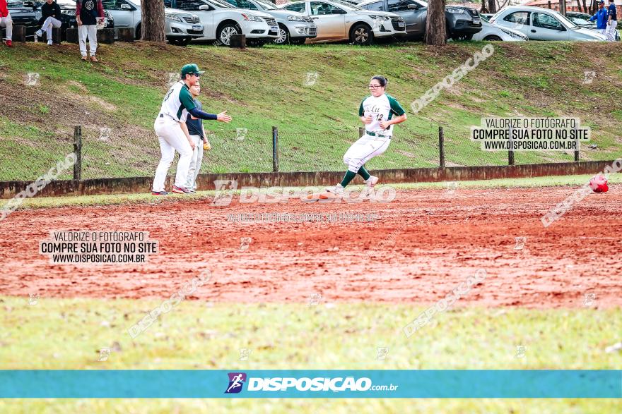 XXXII Brasileirão de Softbol