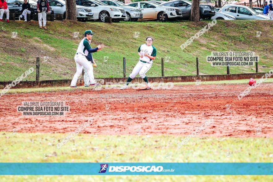 XXXII Brasileirão de Softbol