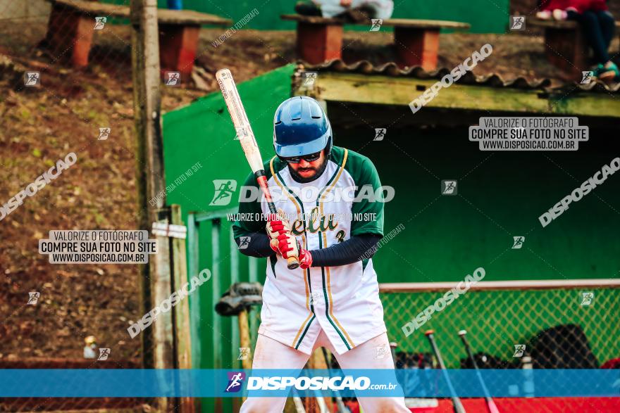 XXXII Brasileirão de Softbol