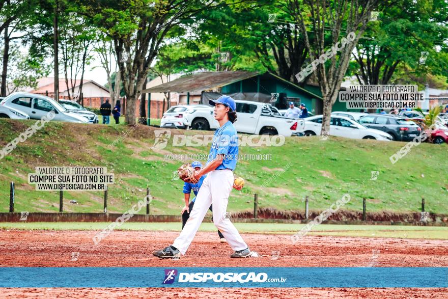 XXXII Brasileirão de Softbol