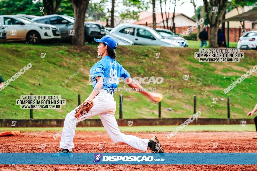 XXXII Brasileirão de Softbol