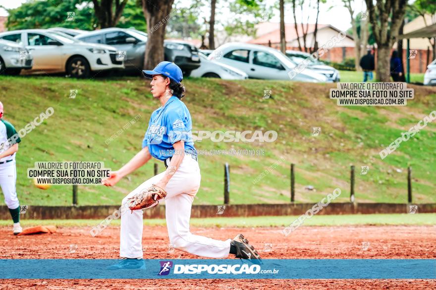 XXXII Brasileirão de Softbol