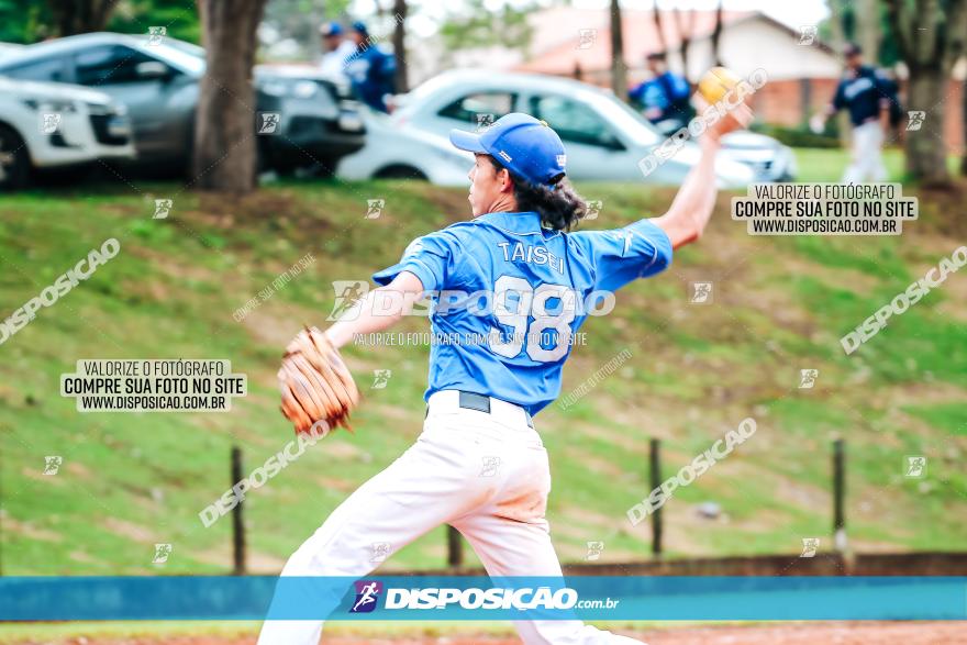 XXXII Brasileirão de Softbol