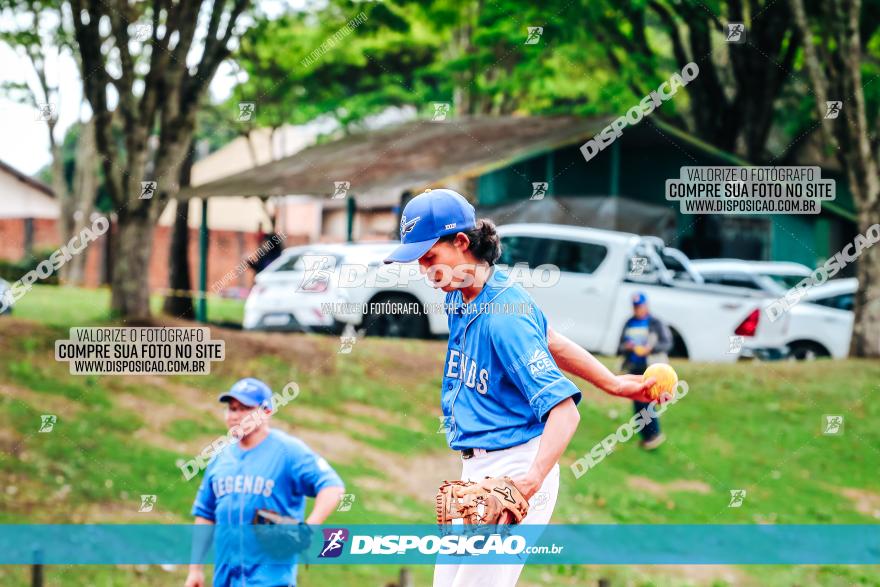 XXXII Brasileirão de Softbol