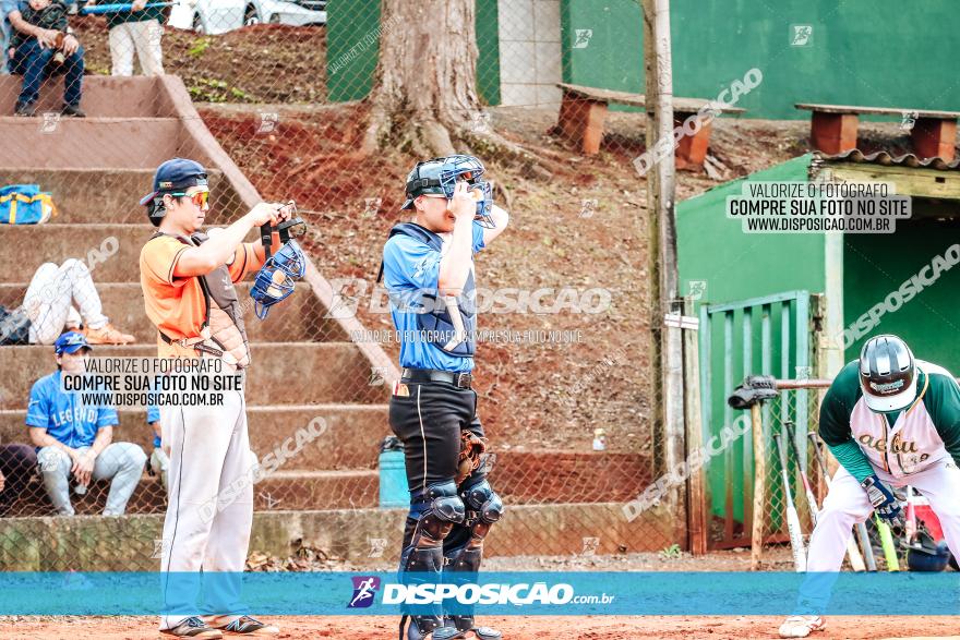 XXXII Brasileirão de Softbol