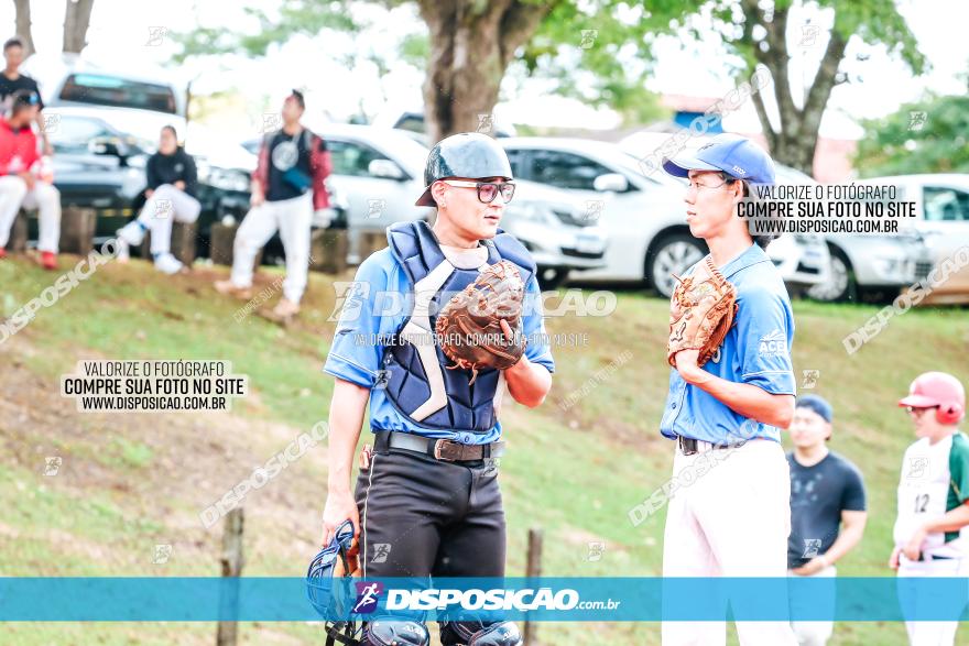 XXXII Brasileirão de Softbol