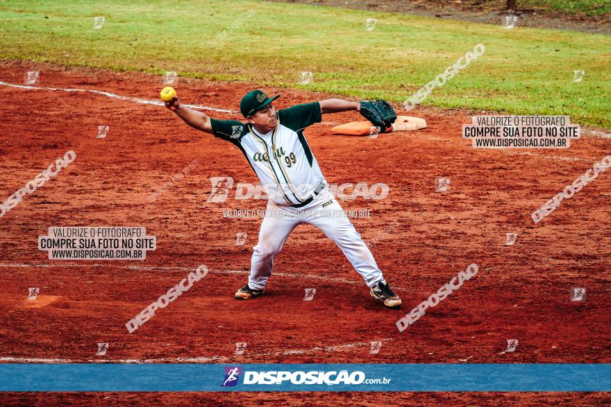 XXXII Brasileirão de Softbol