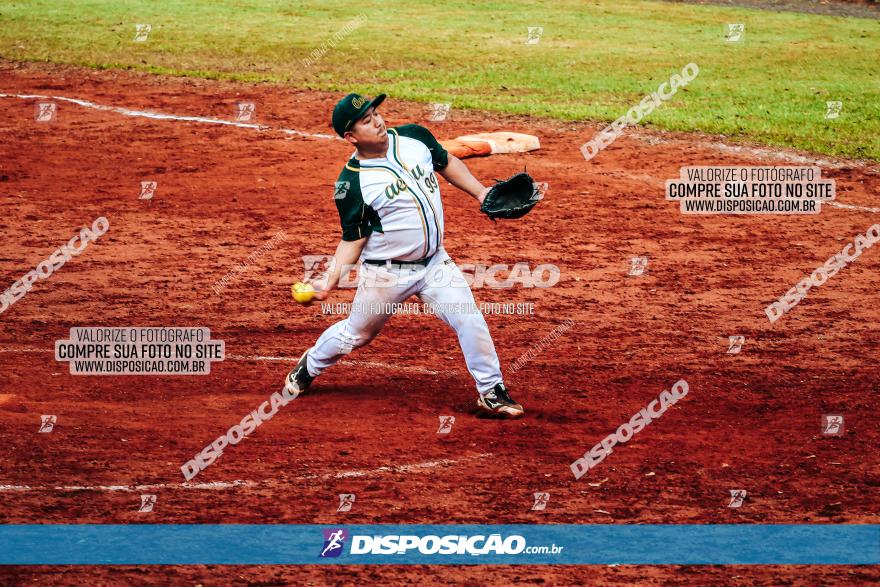 XXXII Brasileirão de Softbol