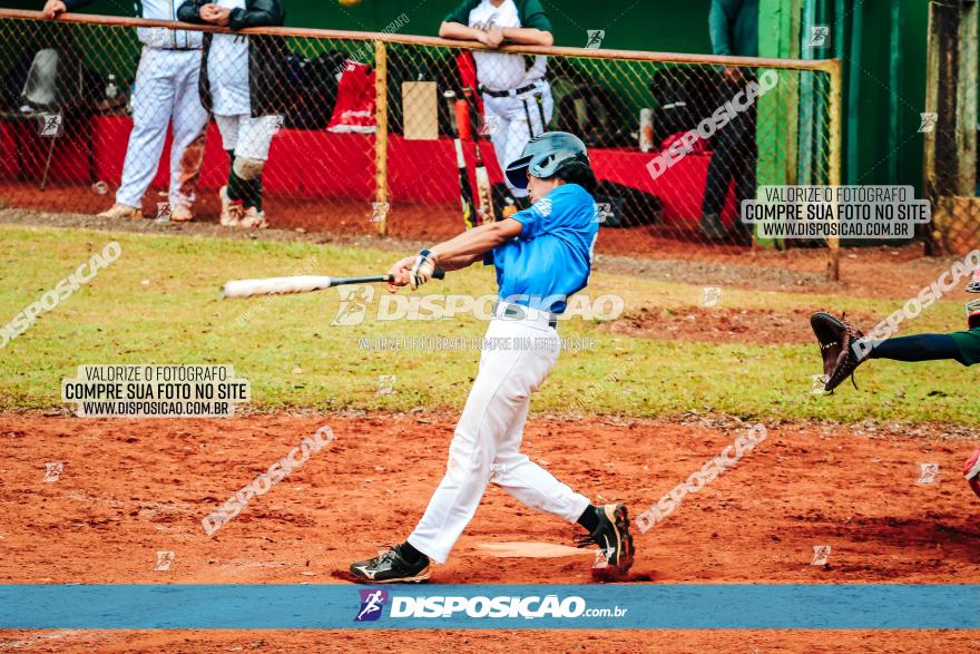 XXXII Brasileirão de Softbol