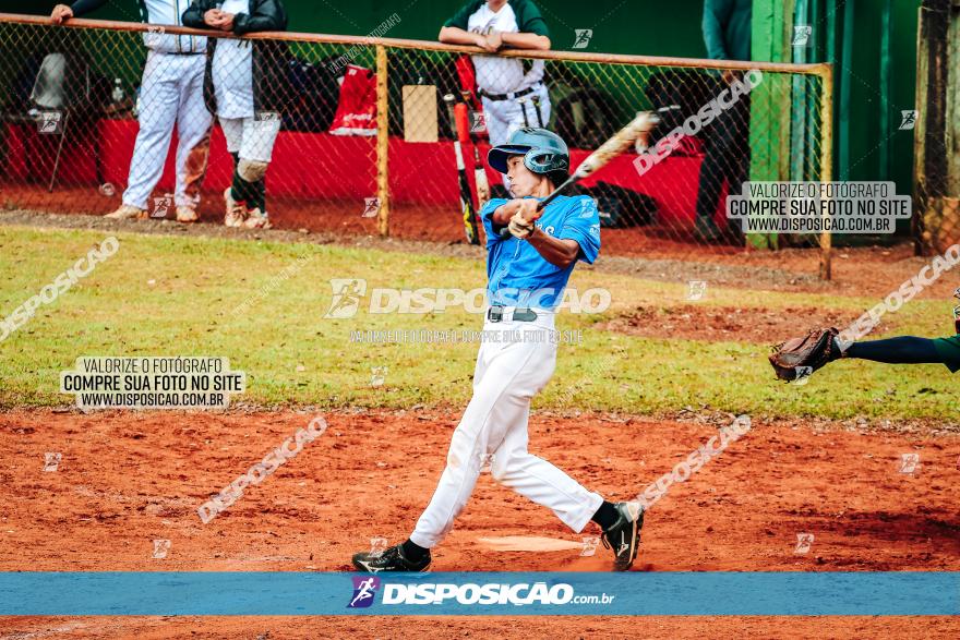 XXXII Brasileirão de Softbol