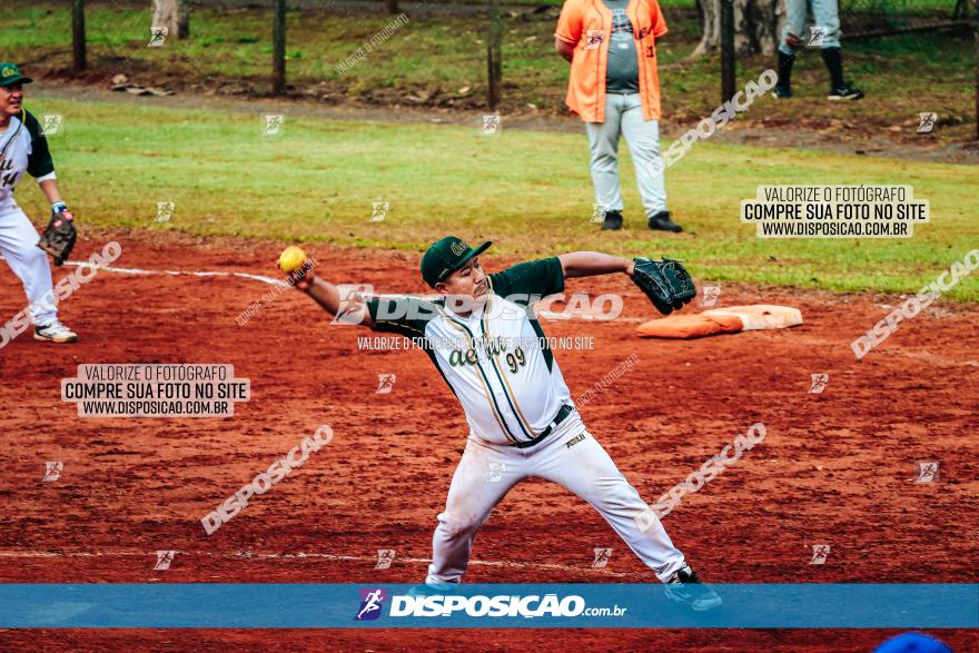 XXXII Brasileirão de Softbol