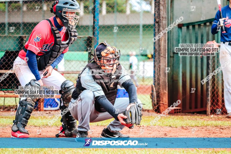 XXXII Brasileirão de Softbol