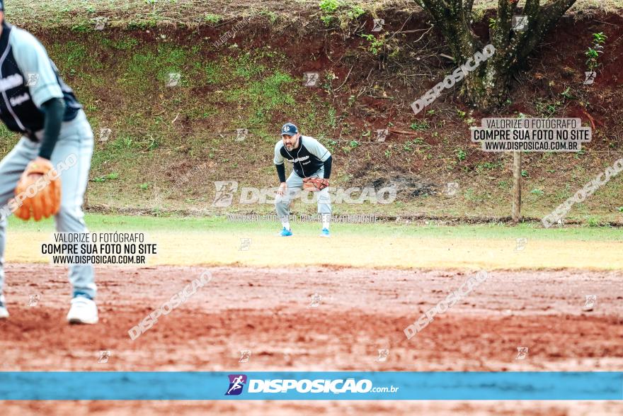 XXXII Brasileirão de Softbol