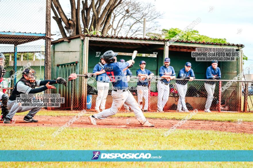 XXXII Brasileirão de Softbol