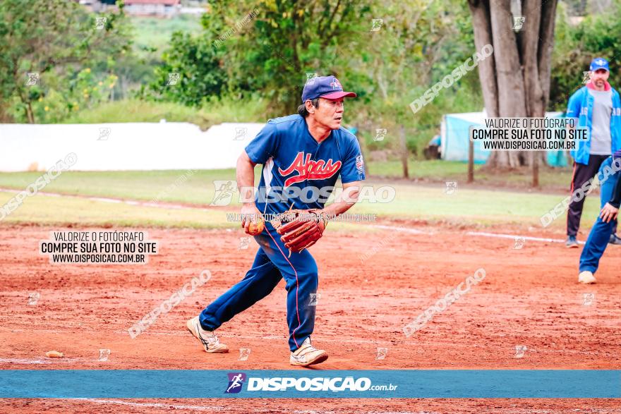 XXXII Brasileirão de Softbol