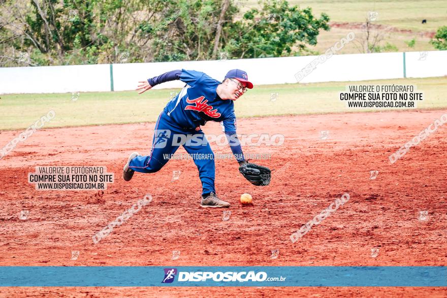 XXXII Brasileirão de Softbol