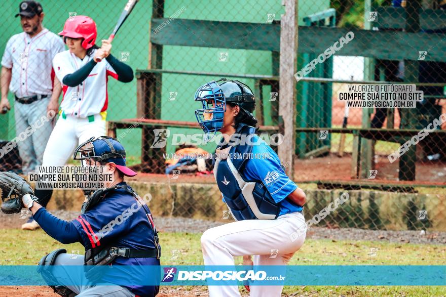 XXXII Brasileirão de Softbol