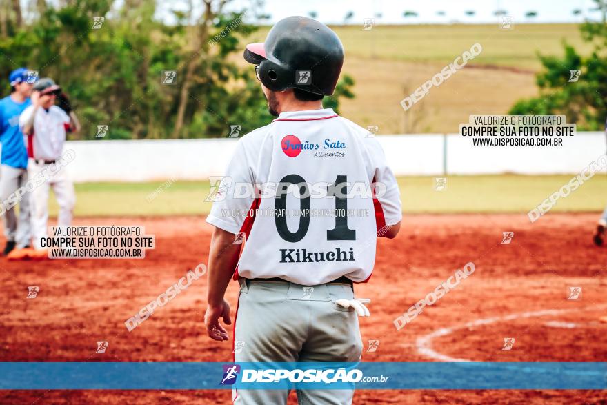 XXXII Brasileirão de Softbol