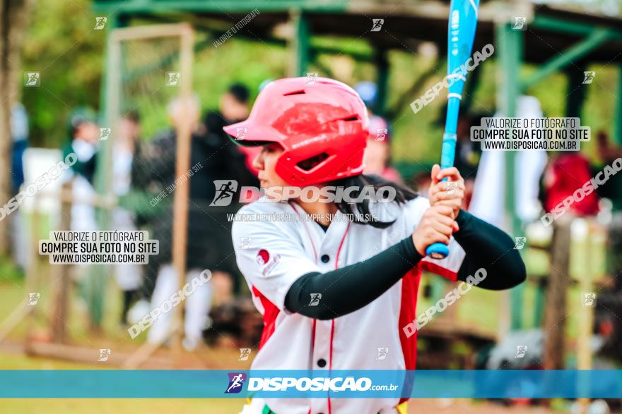 XXXII Brasileirão de Softbol