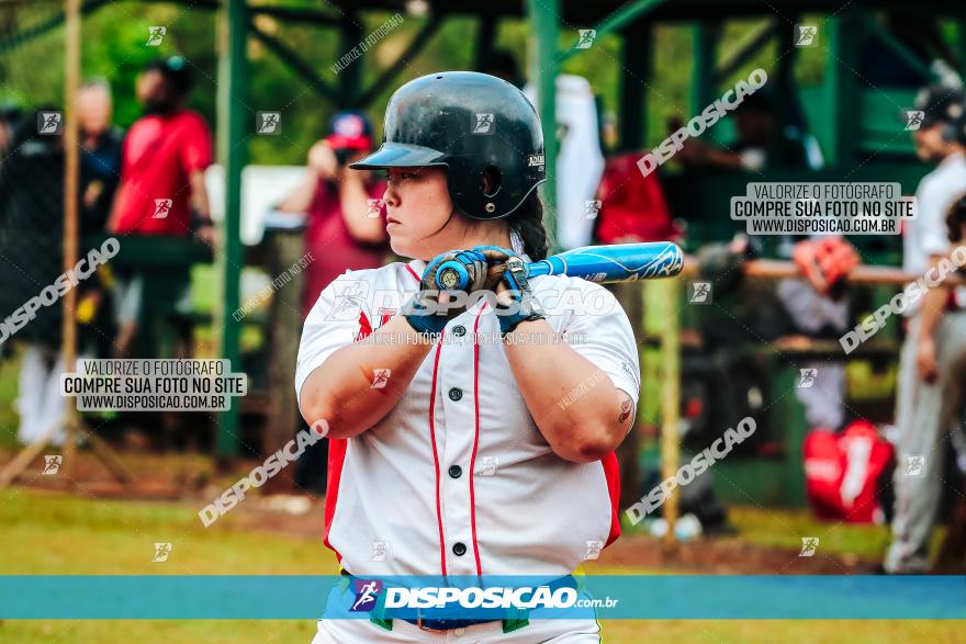 XXXII Brasileirão de Softbol