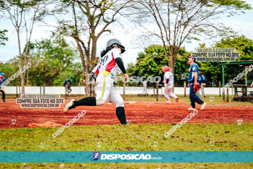 XXXII Brasileirão de Softbol