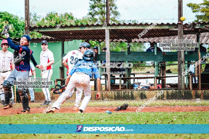 XXXII Brasileirão de Softbol