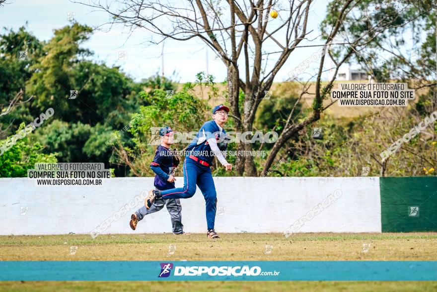 XXXII Brasileirão de Softbol