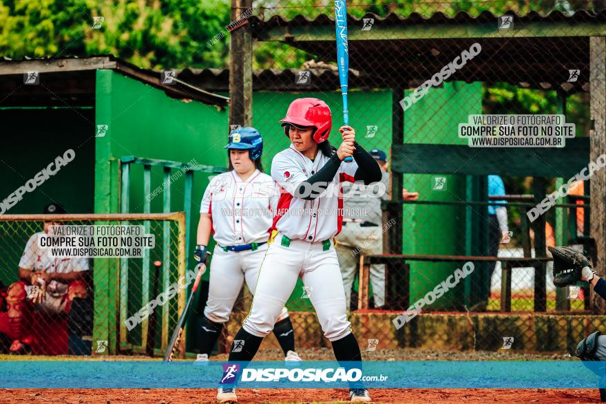 XXXII Brasileirão de Softbol