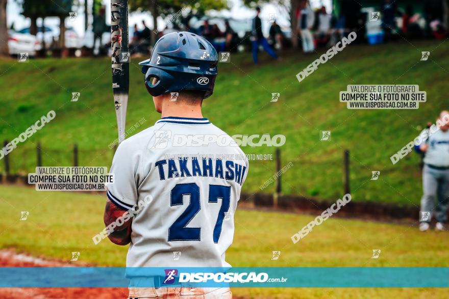 XXXII Brasileirão de Softbol