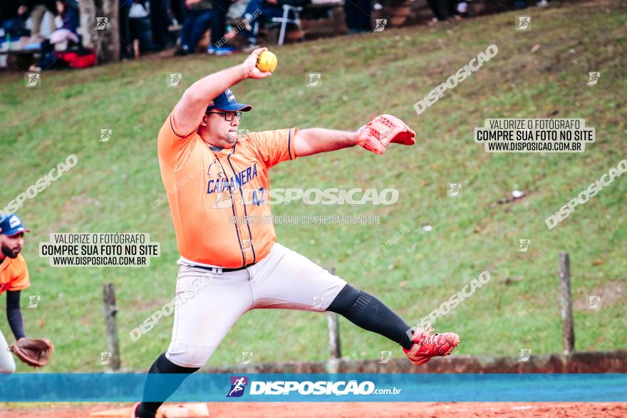 XXXII Brasileirão de Softbol