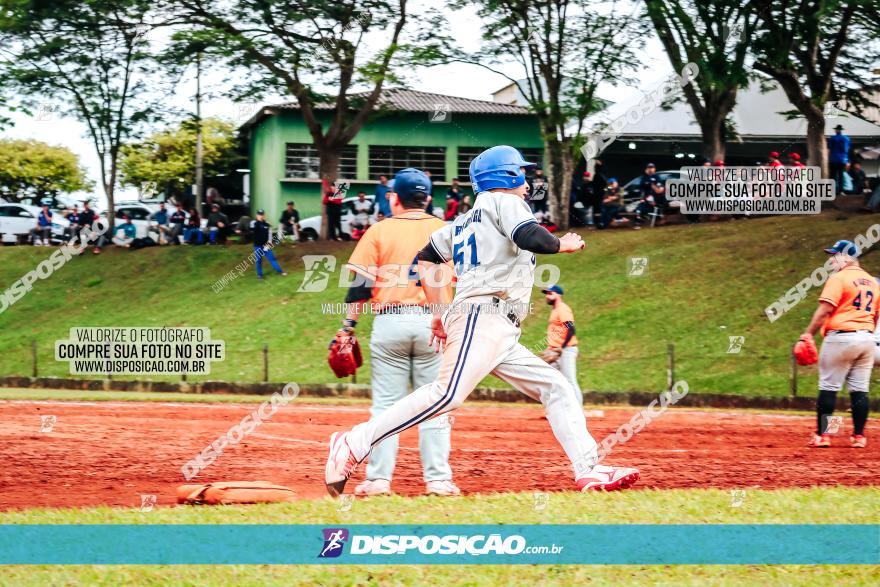 XXXII Brasileirão de Softbol