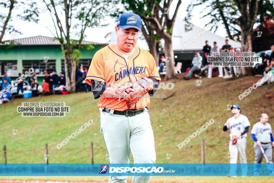 XXXII Brasileirão de Softbol