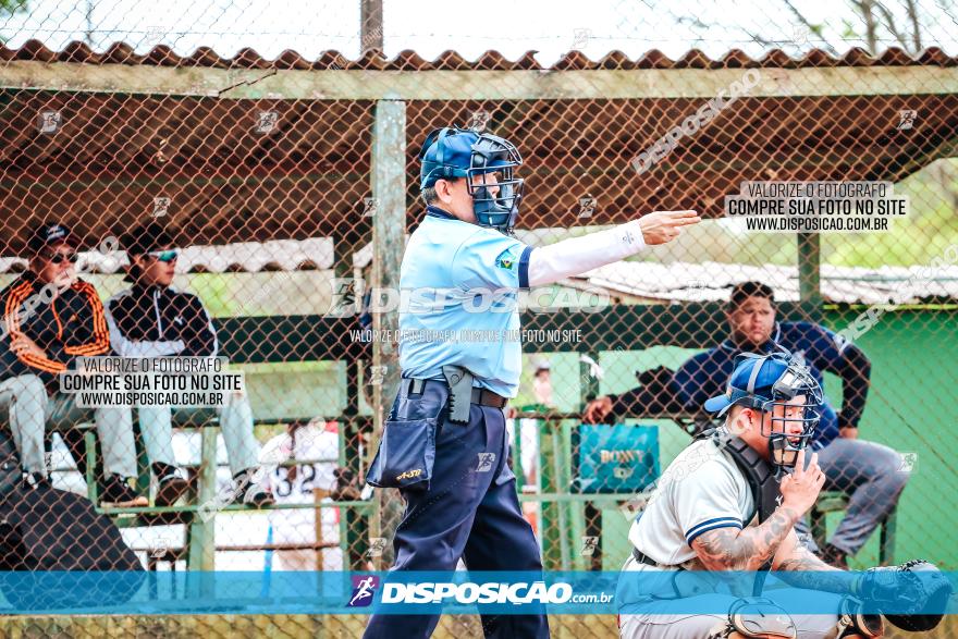 XXXII Brasileirão de Softbol