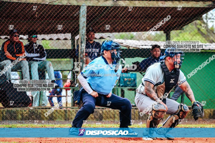 XXXII Brasileirão de Softbol