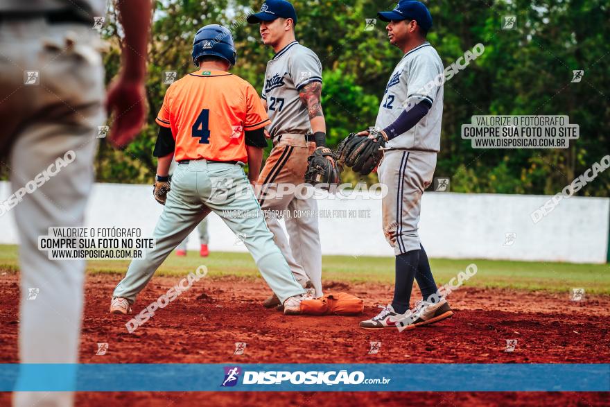 XXXII Brasileirão de Softbol