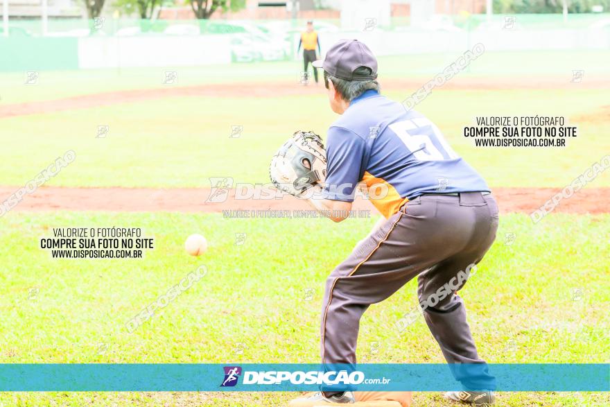 XXXII Brasileirão de Softbol