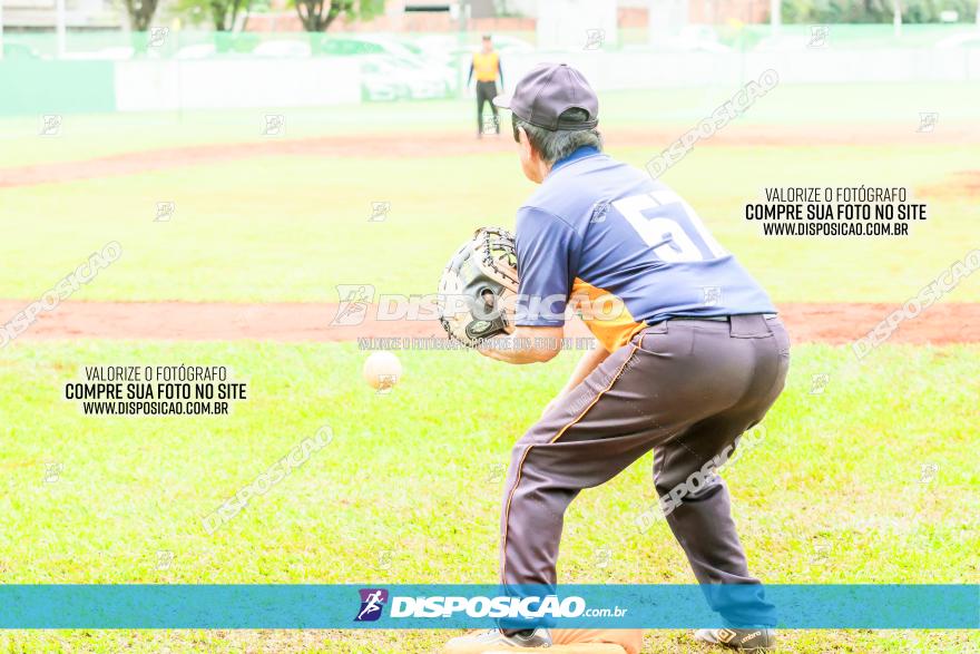 XXXII Brasileirão de Softbol