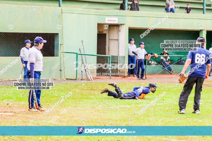 XXXII Brasileirão de Softbol