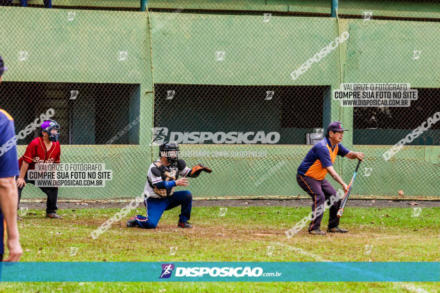 XXXII Brasileirão de Softbol